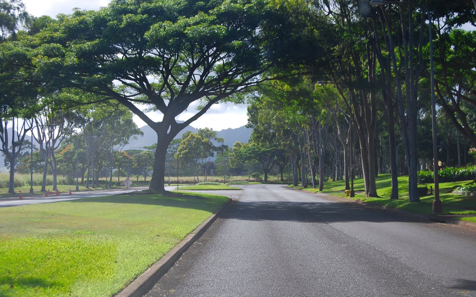 A Mililani residential street with the Waiʻanae range in the distance